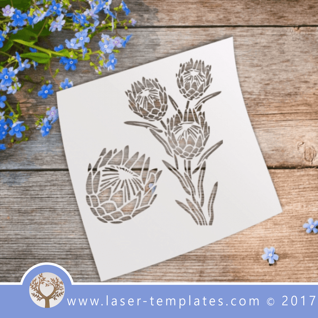 Protea flower STENCIL template. Laser cut stencils. Vector online store, free designs. Proteas