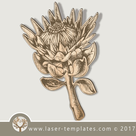 Protea flower template. Laser cut and engrave. Vector online store, free designs. Protea