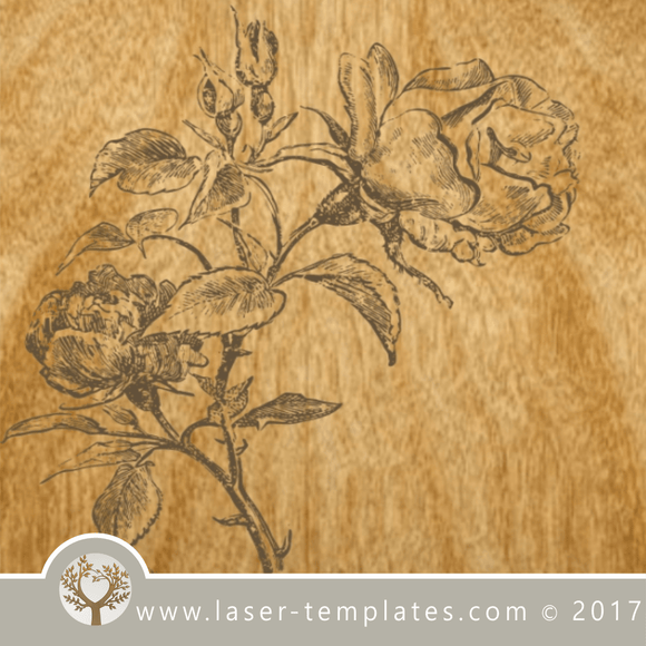 Vintage rose vector engraving template for Lasers. VECTOR template online store, free designs. Rose 1.