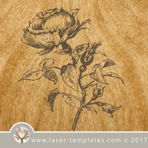 Vintage rose vector engraving template for Lasers. VECTOR template online store, free designs. Single Rose.